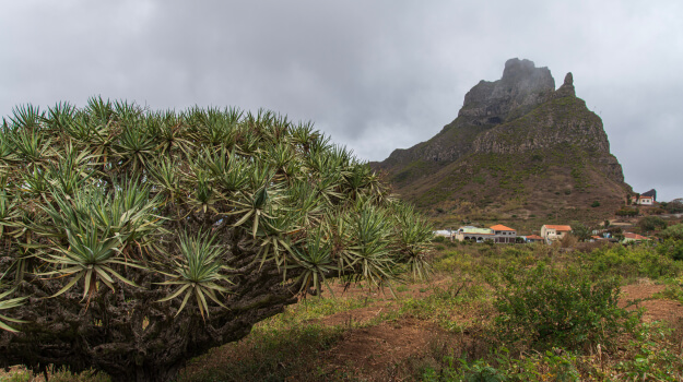 13-Parque Natural Monte Gordo, Ilha de São Nicolau_Monte Gordo Natural Park, São Nicolau Island.jpg