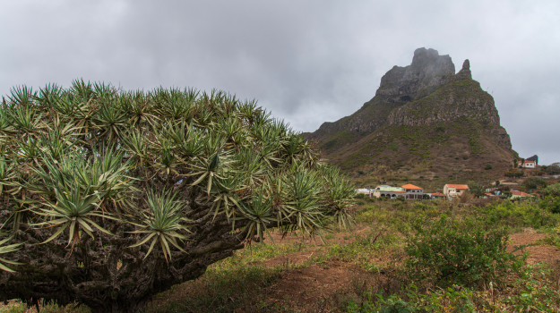 8-Parque Natural Monte Gordo, Ilha de São Nicolau _ Monte Gordo Natural Park, São Nicolau Island.jpg