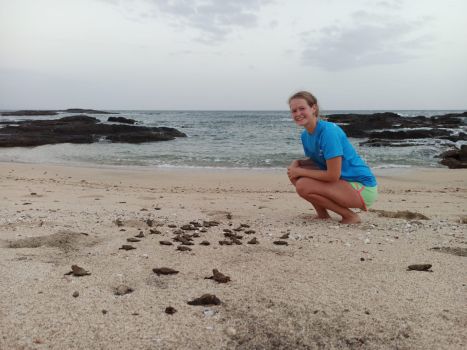 cabo-verde-ferias-em-cabo-verde-na-ilha-brava-baleias-tartarugas-e-o-esplendor-da-natureza-marinha-010.jpg