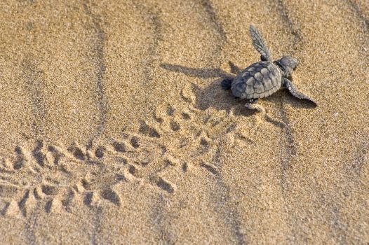 cabo-verde-visitar-cabo-verde-descubra-a-serenidade-da-ilha-do-maio-001.jpg