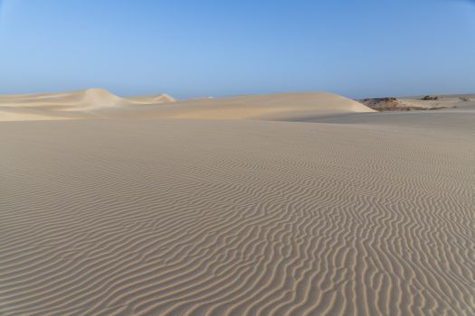 cabo-verdeentre-dunas-e-estrelas-o-deserto-de-viana-e-uma-experiencia-unica-na-ilha-da-boa-vista-006.jpg