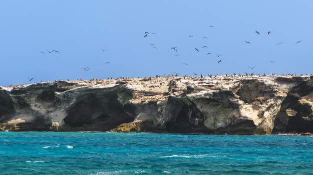 ilha-da-boa-vista-cabo-verde-15.jpg