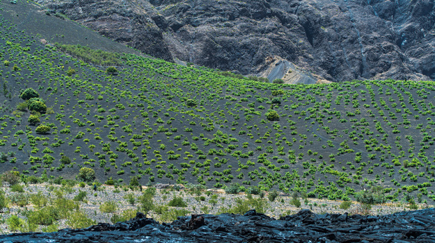 ilha-do-fogo-cabo-verde-8.jpg