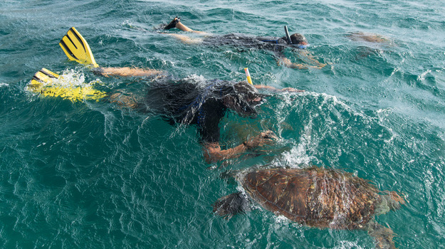 mergulho-snorkeling-em-cabo-verde-1.jpg