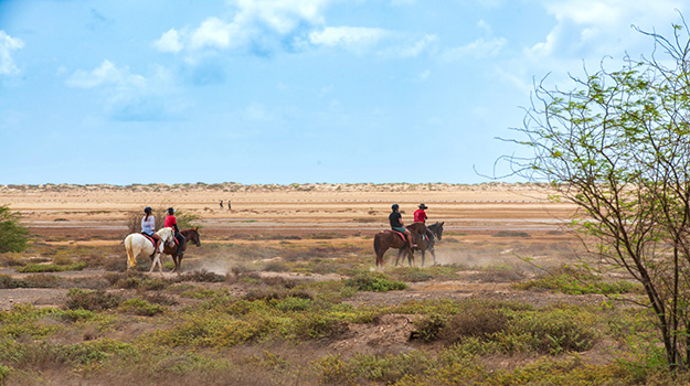 Passeio a cavalo Sal