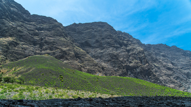 vinhas-cha-das-caldeiras-ilha-fogo-cabo-verde.jpg